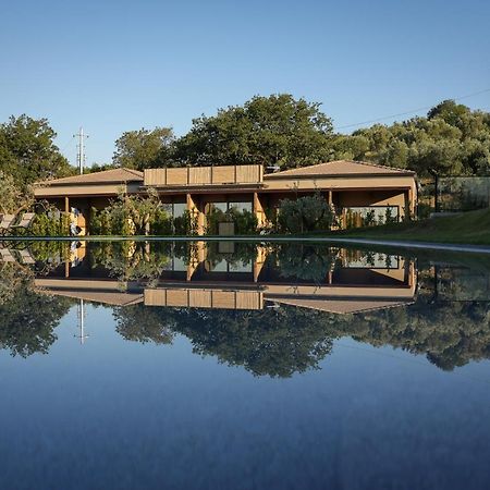 Hang Loose Cottage Hotel & Resort 4 Stelle Gizzeria Calabria Esterno foto